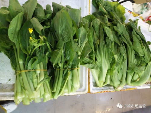 全城抽檢糧油蛋菜肉，守護疫情期間食用農產品安全
