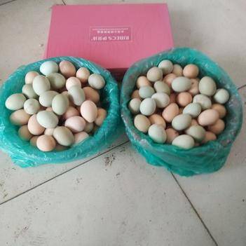 深耕源頭，鏈接城鄉 農產品批發供應商杜朝兵的惠農之路