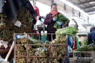 濟(jì)南憑雙證才能賣(mài)韭菜 出問(wèn)題直接找源頭，食用農(nóng)產(chǎn)品批發(fā)市場(chǎng)嚴(yán)把安全關(guān)